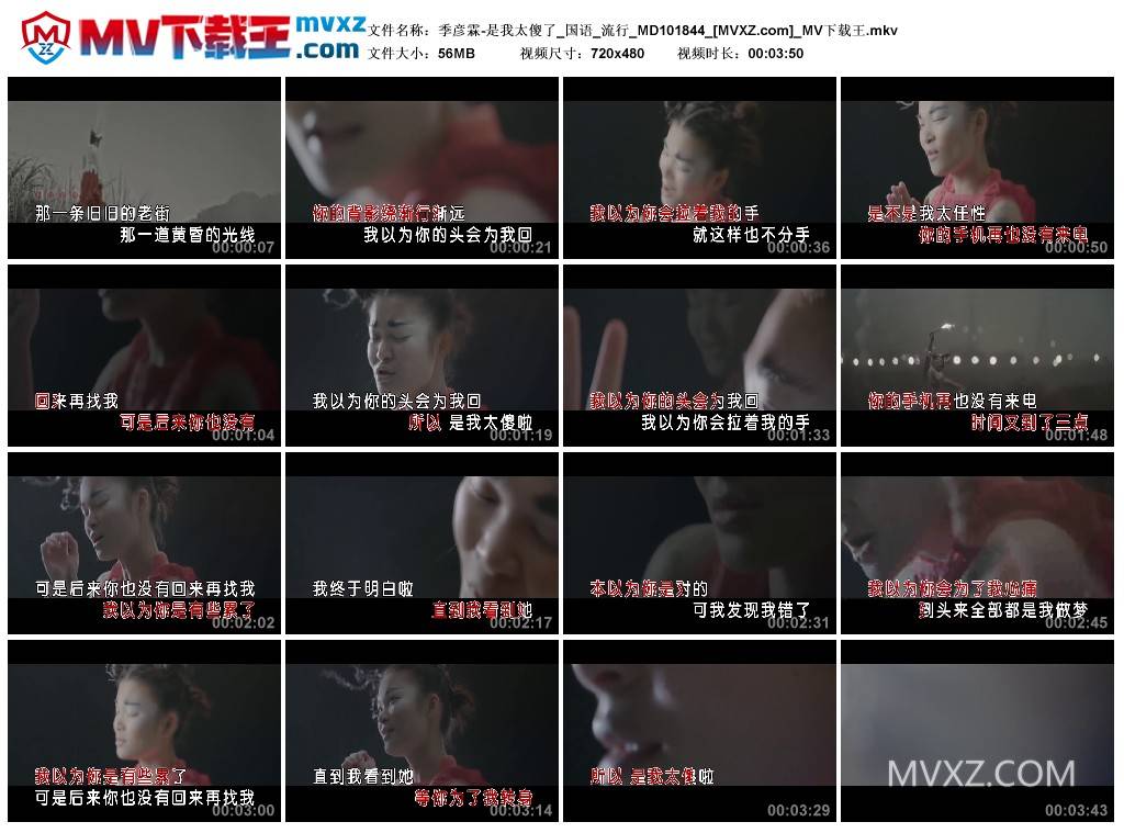 季彦霖-是我太傻了_国语_流行_MD101844